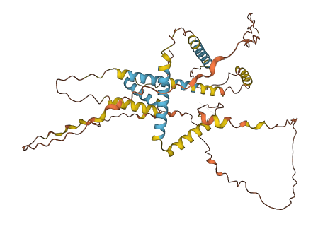 NPIPB8 3D structure