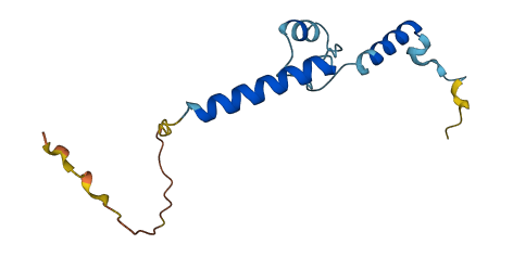 C11orf98 3D structure