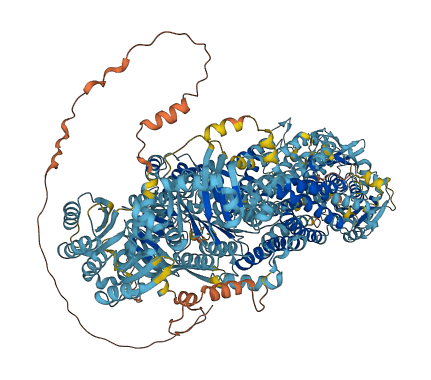 Abca17 3D structure