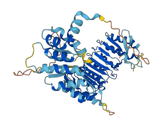 Oog1 3D structure