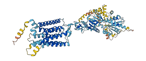 Vmn2r116 3D structure