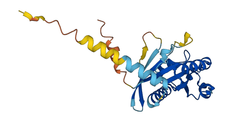 Rabl2 3D structure