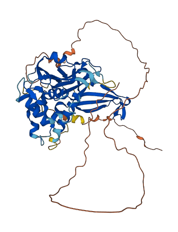 Usp17lb 3D structure