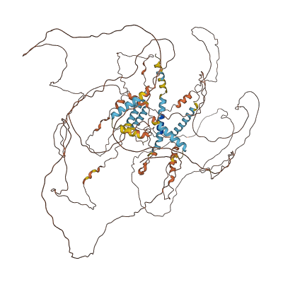 Spata31 3D structure