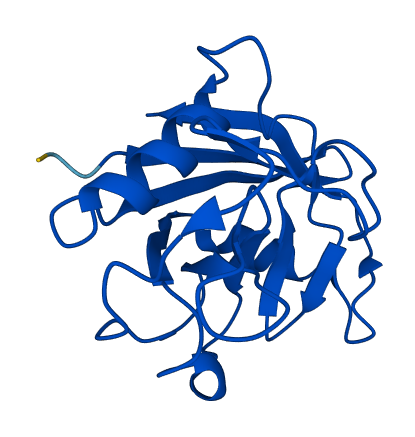 PPIAL4D 3D structure