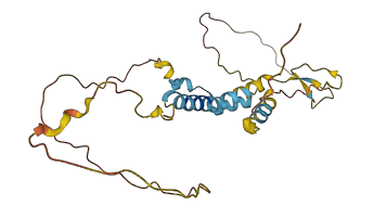 C3orf80 3D structure