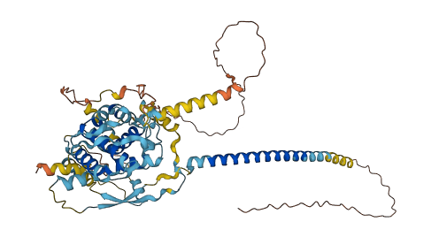 FAM227A 3D structure