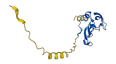 Wfdc6b 3D structure