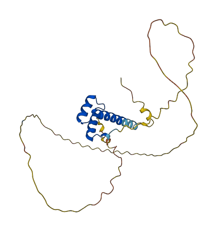 Rhox13 3D structure