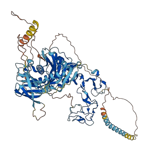 Adam3 3D structure