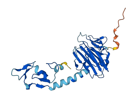 RFPL4AL1 3D structure
