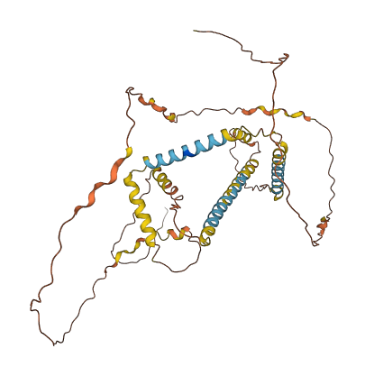 NPIPB9 3D structure