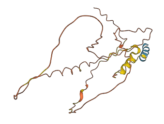 INS-IGF2 3D structure