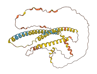 NPIPA3 3D structure