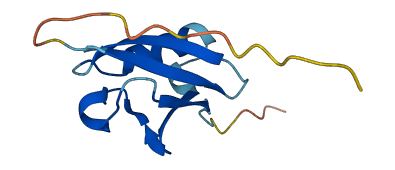 SUMO1P1 3D structure