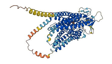 SLCO1B7 3D structure