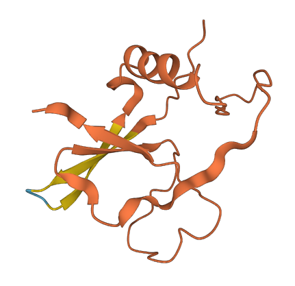 LINC01619 3D structure