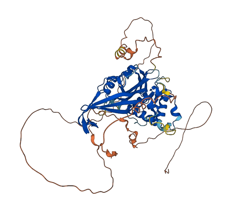 Usp17ld 3D structure