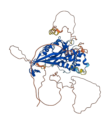 Usp17lc 3D structure
