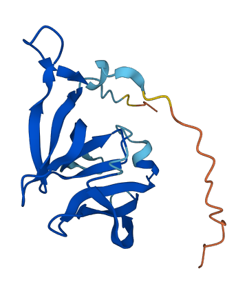 FAM72C 3D structure