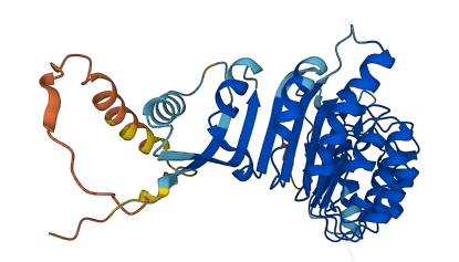 PRAMEF26 3D structure