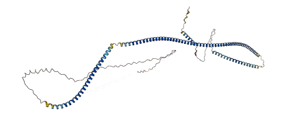 GOLGA6L19 3D structure