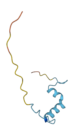 SMKR1 3D structure