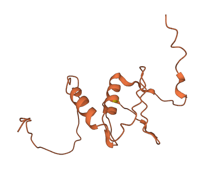 C16orf97 3D structure