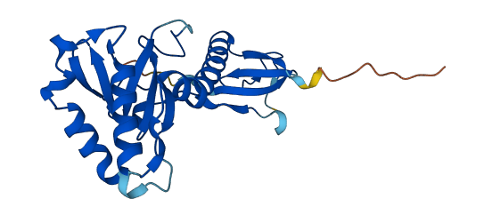 MKRN2OS 3D structure
