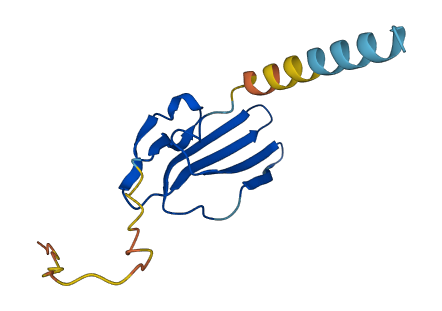 LY6L 3D structure