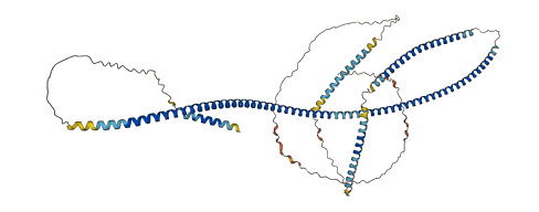 GOLGA8T 3D structure