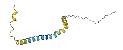 SMLR1 3D structure