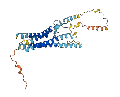 TMEM178B 3D structure