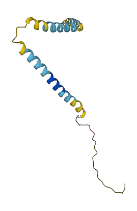 TEX46 3D structure