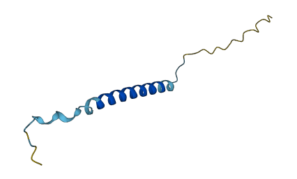 CCDC179 3D structure