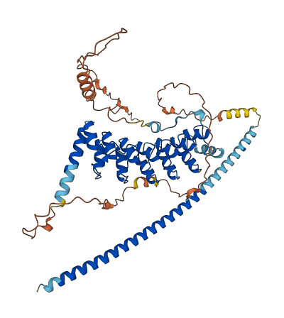 POTEB2 3D structure