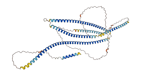 GOLGA8Q 3D structure