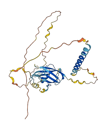 TGFBR3L 3D structure