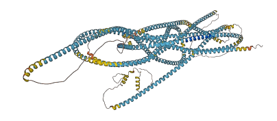 CROCC2 3D structure