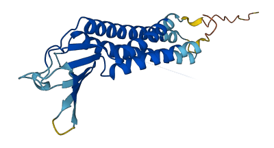 CLDN34 3D structure