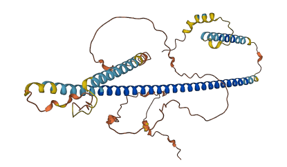 CCDC188 3D structure