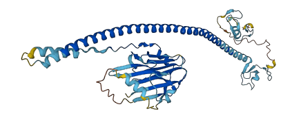 TRIM77 3D structure
