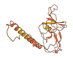 PYCARD-AS1 3D structure