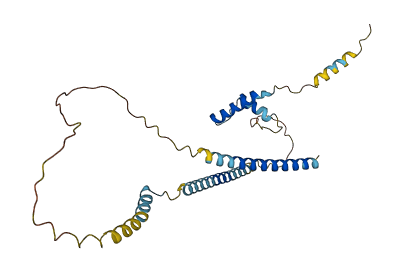 CCER2 3D structure
