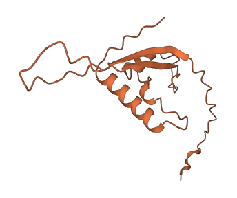 LINC01387 3D structure