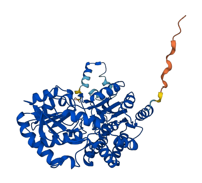 Aldh3b3 3D structure