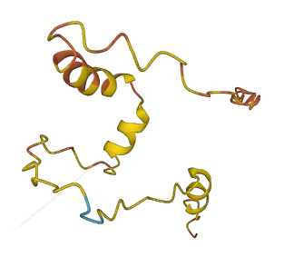 ZNF561-AS1 3D structure
