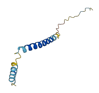 SMIM22 3D structure