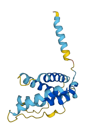 IFNL4 3D structure