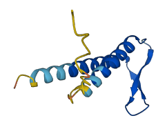 ASDURF 3D structure